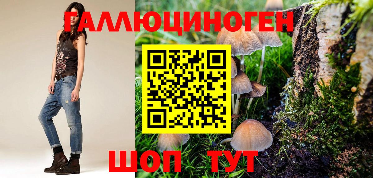 Псилоцибиновые грибы мицелий Унеча