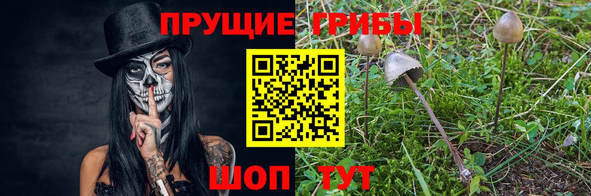 Унеча  Галлюциногенные грибы MAGIC MUSHROOMS  Вход с VPN 